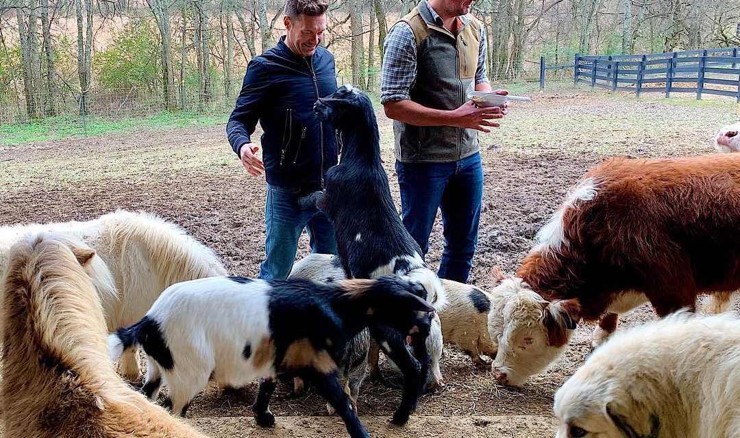 Finally took a goat yoga exercise course at the ranch & health facility …