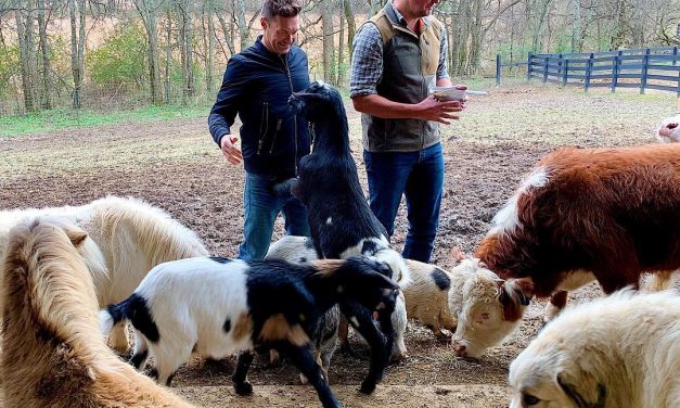 Finally took a goat yoga exercise course at the ranch & health facility …