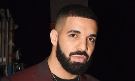 Drake Hits Back at Plastic Surgery Rumors After Sharing a Shirtle …
